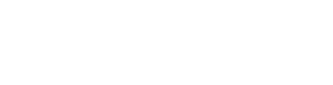 Skyice